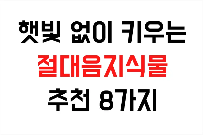 절대음지식물 추천 8가지, 햇빛이 없어도 키울 수 있어요