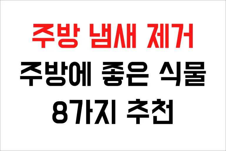 주방에 두면 좋은 식물 8가지 추천, 주방 냄새 제거 효과