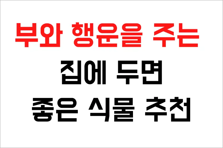 집에 두면 좋은 식물 10가지 추천, 부와 행운을 가져다 줘요