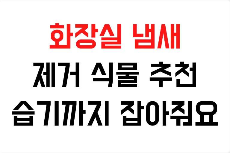 화장실 냄새 제거 식물 11가지 추천, 습기까지 잡아줘요