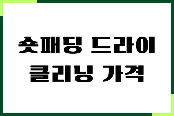 숏패딩 드라이클리닝 가격 얼마일까 오리털 패딩, 구스패딩 비용