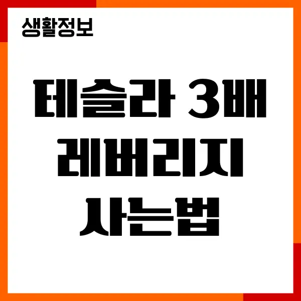 테슬라 3배 레버리지 사는법, 주식 분석, 전망