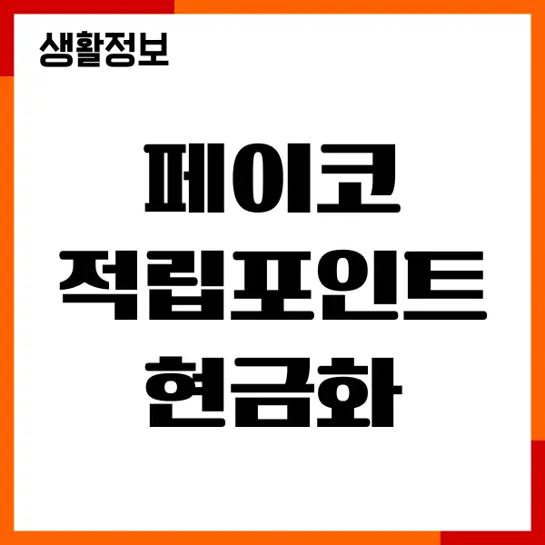 페이코 적립포인트 현금화 방법, 적립포인트, 마일리지, 사용처