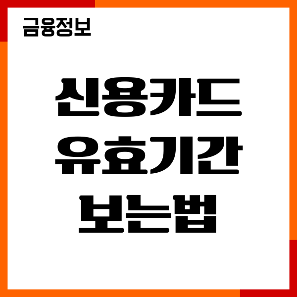신용카드 번호 유효기간 보는법, CVC 번호 조회 총정리